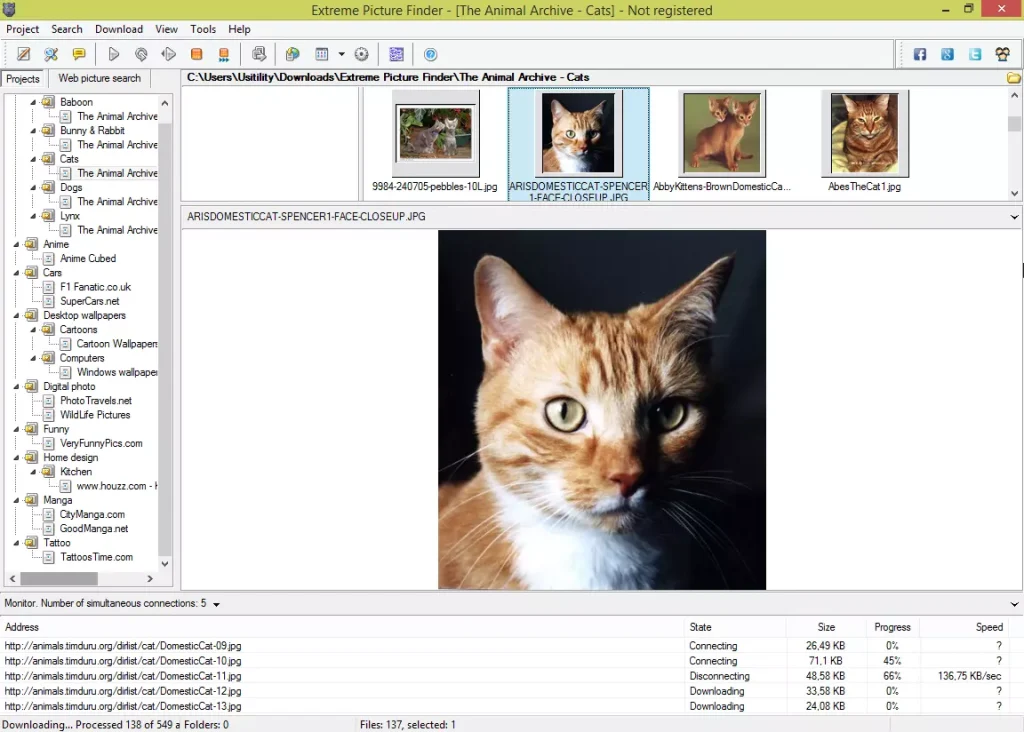 Extreme Picture Finder 3.62.1 Crack With Torrent Key Download